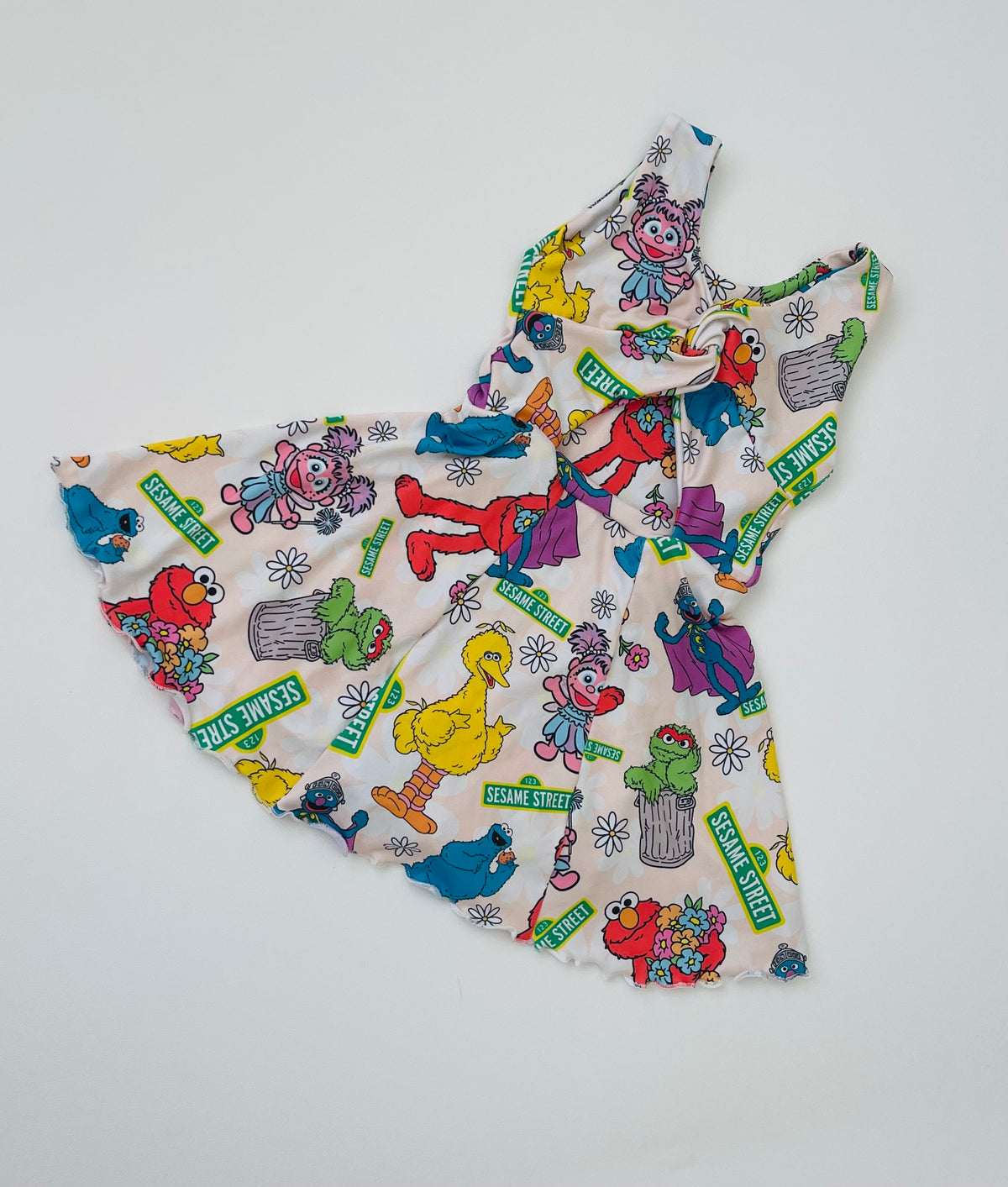 Sesame Street wren Dress (Runs Small, Size Up)