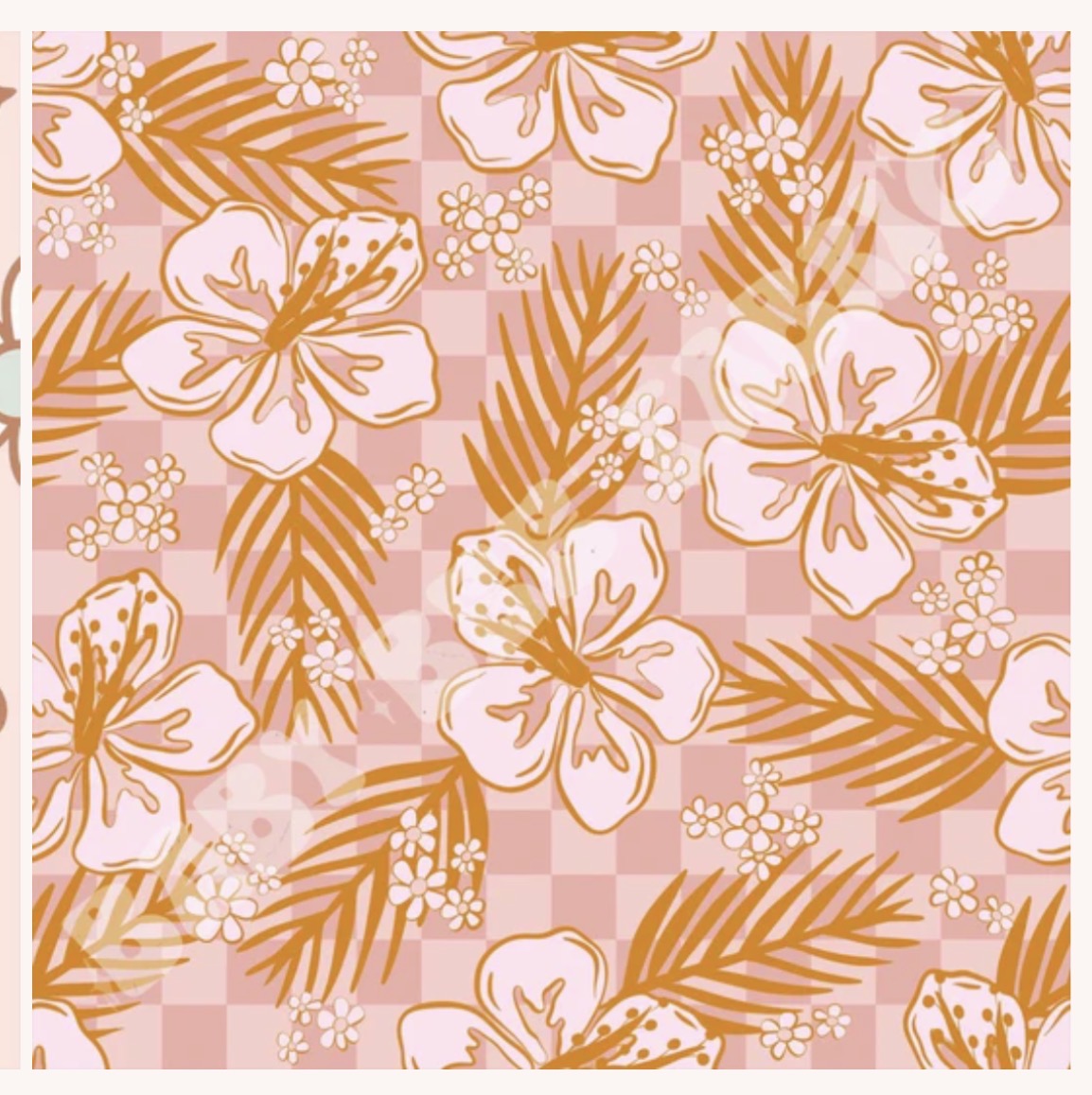 Pink hibiscus