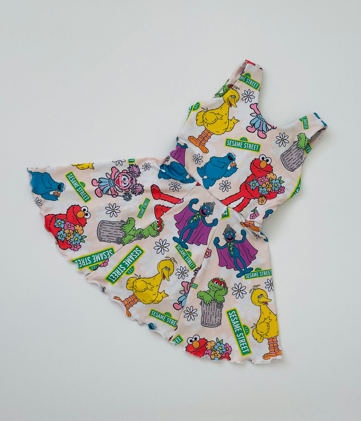 Sesame Street wren Dress (Runs Small, Size Up)