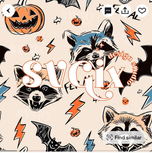 Racoon