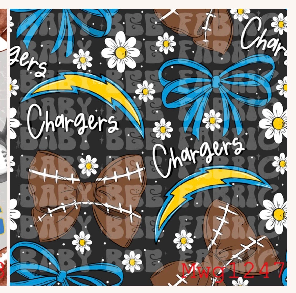 Chargers (black)