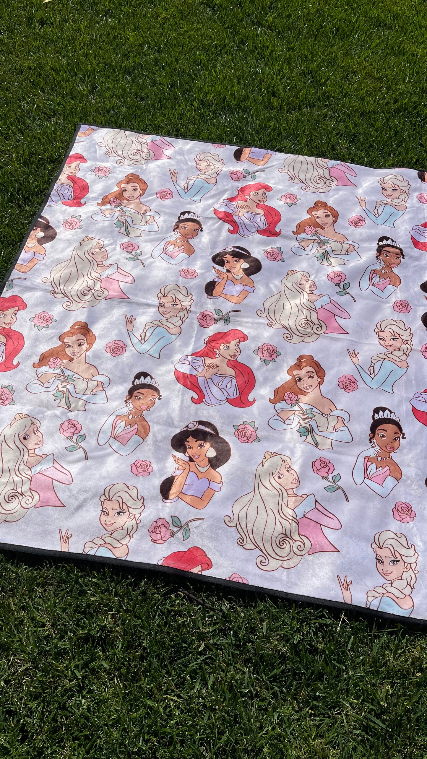 Princess Picnic Playmat (NO HANDLE Included)